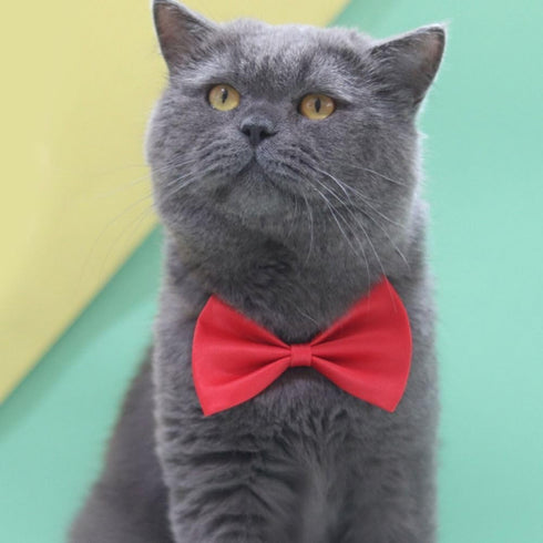 Orange Dog Bow Ties with Adjustable Collar, Solid Pet Neckties for Dogs and Cats, Grooming Bowtie Collars