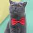 Orange Dog Bow Ties with Adjustable Collar, Solid Pet Neckties for Dogs and Cats, Grooming Bowtie Collars
