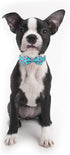 Dog Collars with Bow Tie - Green Flamingo Adjustable Collar for Small Medium Large Dogs, Boy & Girl Gift (L, Neck