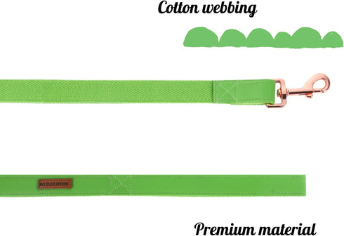 Elegant little tail Dog Collar and Leash, Durable Adjustable Pet Collar for Small Dogs
