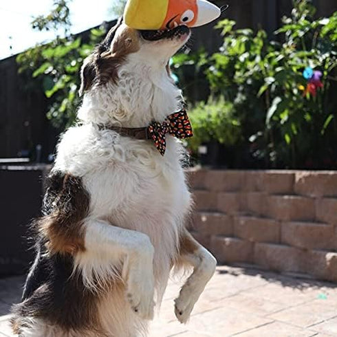 Huxley & Kent Kookie Korn Halloween Power Plush Dog Toy with Squeaker, Fun, Durable, Safe Gift for Dogs, H&K Squeaky