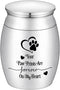 Small Dog Urn for Ashes, 1.57 Inches Mini Cremation Urn for Pet Ashes, Tiny Pet Paw Keepsake Holder