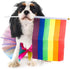 Pride Month Dogs Cats Costume Skirt, Gay Pride Rainbow Adjustable Pet Scarf Collars, Colorful Tutu Costume Accessories