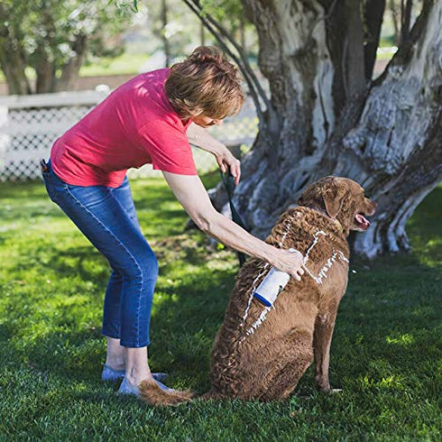 FoamCare Medicated Pet Shampoo by Vetericyn - 16-ounce Anti-Itch Shampoo for Sensitive Skin