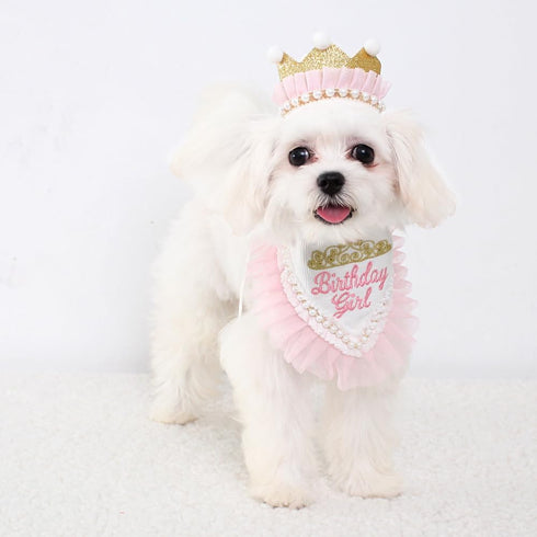 Girl Dog Birthday Hat Bandana Kit, Princess Decorations with Crown for Cats and Dogs, 1st Birthday Gift (PinkGold).