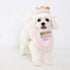 Girl Dog Birthday Hat Bandana Kit, Princess Decorations with Crown for Cats and Dogs, 1st Birthday Gift (PinkGold).