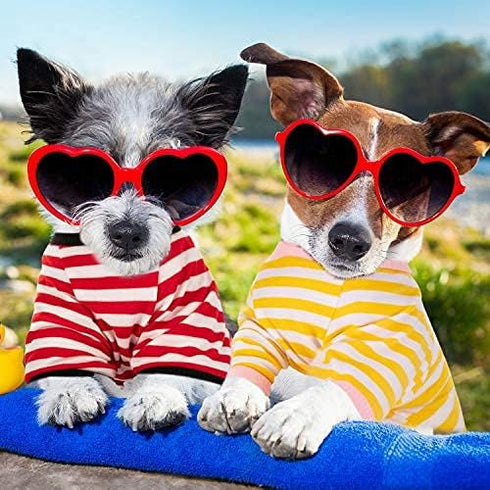 Geyoga 6 Pieces Dog Striped T-Shirt Cotton Breathable Pet Apparel for Small to Medium Dogs (M)