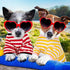 Geyoga 6 Pieces Dog Striped T-Shirt Cotton Breathable Pet Apparel for Small to Medium Dogs (M)