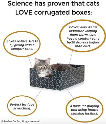 Modern Cat Box Lounger with Peek-a-Boo Cutout, Premium Corrugated Cardboard Bed for Kittens and Small Pets, Blue