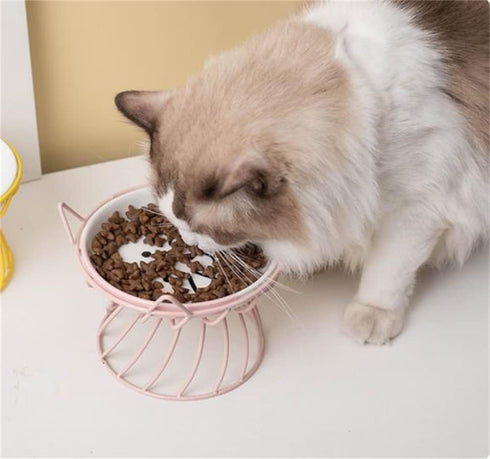 Raised Cat Food Bowls Ceramic with Metal Stand, Elevated Feeding Bowl with Non-Slip Mat for Cats and Small Dogs