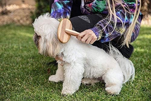 Natural Bamboo Deshedding Slicker Brush for Short and Long Haired Dogs Cats - Gentle Easy Grooming
