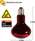 Infrared Heat Lamp Bulbs 75W 2 Pack - Red Basking Spot Light Bulb for Reptiles like Bearded Dragon, Turtle, Snake, with