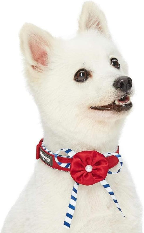Blueberry Pet Adjustable Dog Collar, Bon Voyage Sea Lover in Timeless Red, Neck 17-20.5", for Large Breed