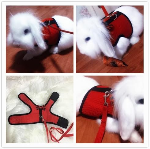 Hypeety Bunny Kitten Harness No Pull Cat Leash Adjustable Soft Vest for Small Animal (RED, S)