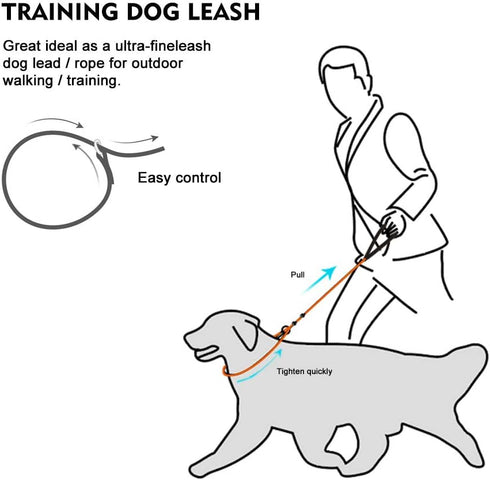 Dog Ultra-fine Leash, Slip Leads for Dogs, Training Leash for Small, Medium or Large Dogs, Seagreen, 1.4M Long
