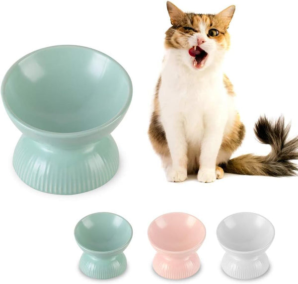Raised Cat Food Bowls Ceramic, Tilted Elevated Bowls Anti Vomiting, 4.9 in Small Cat Bowl for Dry Wet Food, 4oz