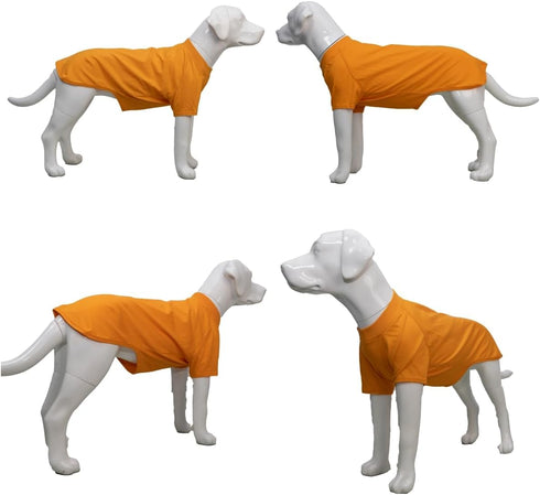 Lovelonglong Pet Clothing Dog Costumes, Basic Blank T-Shirt Tee Shirts for Medium Dogs, Orange XXL