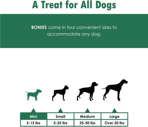 Bonies Natural Breath and Dental Formula Treats for Dogs, Chicken Flavor, 2 Mini Bones Pack