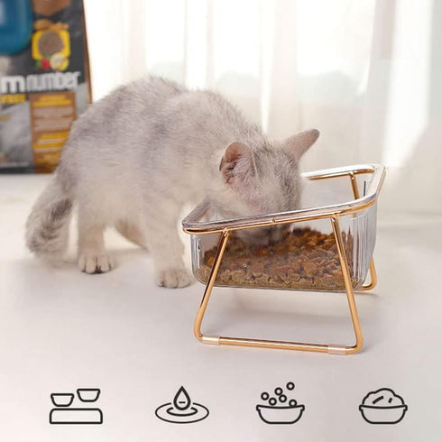 Elevated Cat Food Water Bowl with 15 Degree Tilt, Nonslip Base, Perfect for Multiple Cats