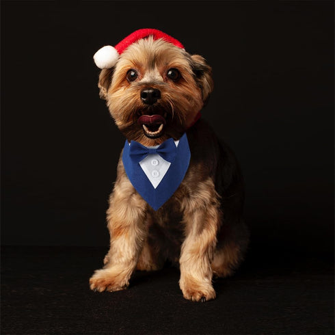 Dog Wedding Bandana, Adjustable Formal Tuxedo Pet Collar with Bow for Small Medium Large Dogs, Birthday Gifts, Medium,