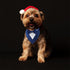 Dog Wedding Bandana, Adjustable Formal Tuxedo Pet Collar with Bow for Small Medium Large Dogs, Birthday Gifts, Medium,