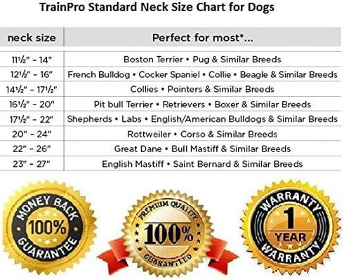 Replacement ¾” Collar Strap Bands with Double Buckle Loop for Pet Shock Bark Collars and Fences