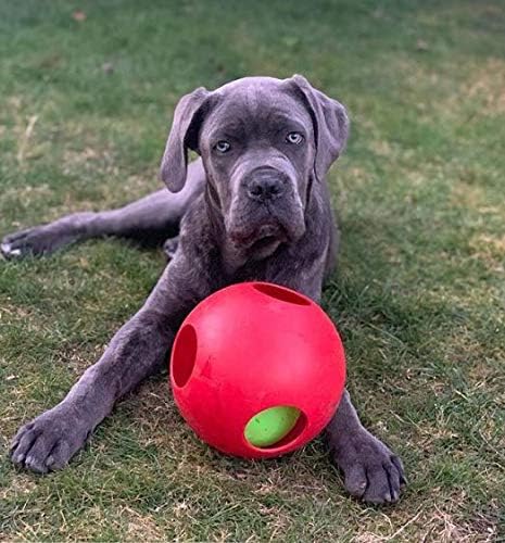 Large/8 Inches, Jolly Pets Teaser Ball Dog Toy, Red