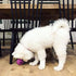 Chew King Dog Fetch Balls, 4 Inch Natural Rubber Toy, All Breed Sizes, Count 2 (Pack of 2) - CM-10031-CS01