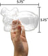 5.75" Glass Puppy Dog Terrarium Kit with Air Plant - Blue