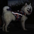 Dog Anxiety Jacket, Keep Calm Vest Reflective Thunder Coat with D-Ring and Training Handle for Small Medium Large Dogs