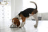 Van Ness Pets Small Non Tip Stainless Steel Dog Bowl, 16 OZ Food and Water Dish, Wide Base Prevents Spills, Silver