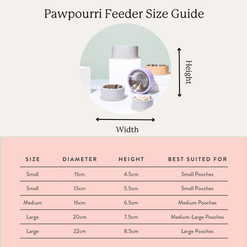 Printed Teal Blue Anti-Skid Stainless Steel Water and Food Feeding Bowl for Small Dogs and Cats (2 bowl)