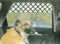 Zoie + Chloe Extra Large Pet Gate for Car & Truck Windows