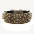Leather Spiked Studded Medium & Large Dog Collars, Harnesses, 2Pcs Matching Set for Pit Bull, Mastiff, Boxer (Gold