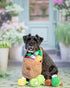 Pack- Nocciola Squeaky Fruits Veggies Stuffed Dog Toys Hide Seek Grocery Basket Crinkle Plush Puppy Toys to Keep Busy