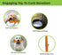 High Visibility Dog Stick Toy for Fetch - Natural Rubber, Teething Relief for Large, Medium, and Small Breeds (Medium,