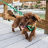 EcoBark Dog Leash, Soft & Reflective Comfort Training Leashes with Padded Handle for Small, Medium, Large Dogs (Camo)