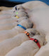 Puppy ID Collar, Adjustable Identification Collars for Newborn Pets, Super Soft Nylon, Breakaway Buckle