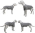 Lovelonglong Pet Clothing Dog Costumes Basic Blank T-Shirt Tee Shirts for Medium Dogs (Gray, XXL)
