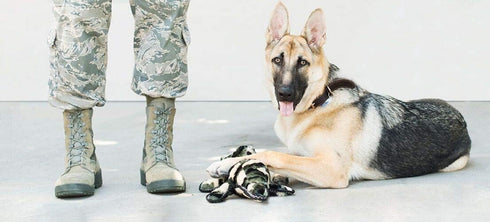 ZippyPaws Camron the Camo Gator Plush Dog Squeaky Toy, Interactive Stuffed Puppy Toy for Small, Medium, & Large Dogs