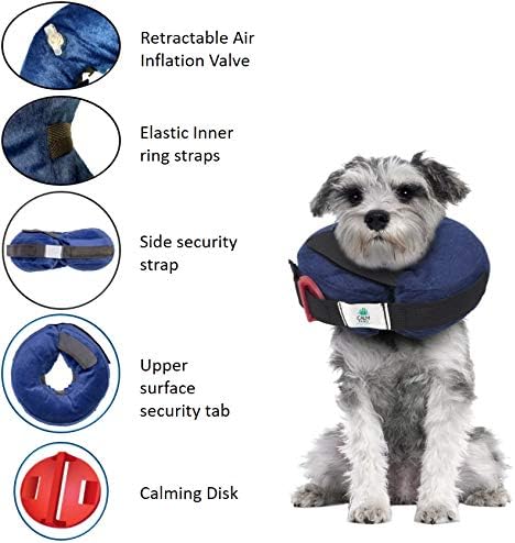 Protective Inflatable Collar with Dog Calming Disc