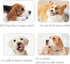 Winter Nessity for Senior Dogs,10pcs Free Rinse Dog Wipes,Scrubbing Mitten for Cats and Dogs, Grooming Gloves and Pet Wipes with Lotion Formula, Deal with The Stinky Dogs and Wipes Cleaning Cat Fur