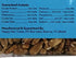 Happy Hen Treats Mealworm and Sunflower Treat for Pets, 6.5-Ounce