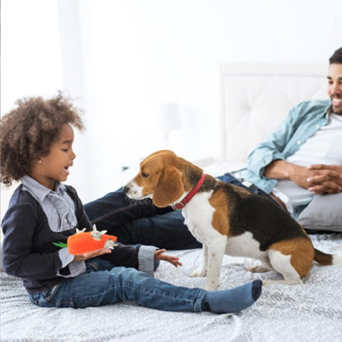 IFOYO Plush Squeak Dog Toys, Stuffed Dog Plush Toy Easter Gift for Medium Small Dogs, Interactive Durable Squeak Toy,