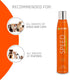 Artero Speed Dry Shampoo 5.9 Oz - Effective No-Rinse Pet Cleanser