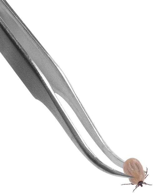 Platinum Tick Removal Tool Set, Stainless Steel Tweezers Kit with Protective Metal Case and Identification Card