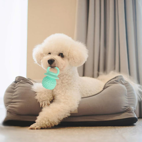 Pacifier Squeaky Dog Toys, Durable Natural Rubber Latex Dog Toy, Fetch and Tug Dog Toy, Dog Treat Toys for Boredom