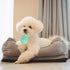 Pacifier Squeaky Dog Toys, Durable Natural Rubber Latex Dog Toy, Fetch and Tug Dog Toy, Dog Treat Toys for Boredom