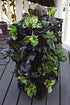 L121212 Smart Pot Milk Crate Liner - 12" x 12" x 12", Black