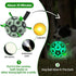 Light Up Dog Ball, Interactive Glow in The Dark Soccer Ball, Tug Water Toy for Small & Medium Dogs, Puppy Gifts (6 Inch)